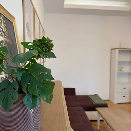Apartament Nature-inspired In Piata Sfatului Braszów