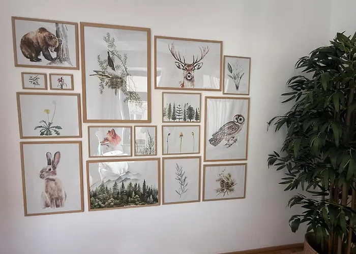 Nature-inspired In Piata Sfatului *