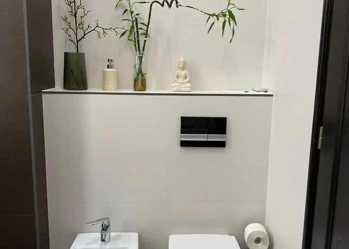 Nature-inspired In Piata Sfatului Braşov